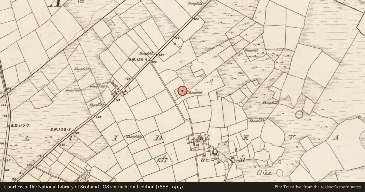 Ordnance Survey six-inch map, 2nd edition (1888–1915) covering the location of Souterrain, Cluidrevagh, County Galway, with a pin at the register's coordinates