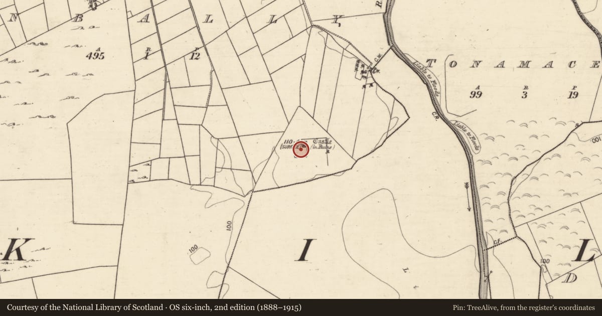 Ordnance Survey six-inch map, 2nd edition (1888–1915) covering the location of Bawn, Anbally, County Galway, with a pin at the register's coordinates