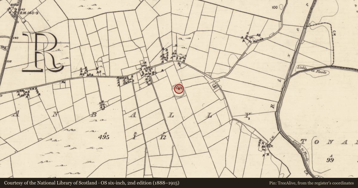 Ordnance Survey six-inch map, 2nd edition (1888–1915) covering the location of Ringfort - unclassified, Anbally, County Galway, with a pin at the register's coordinates
