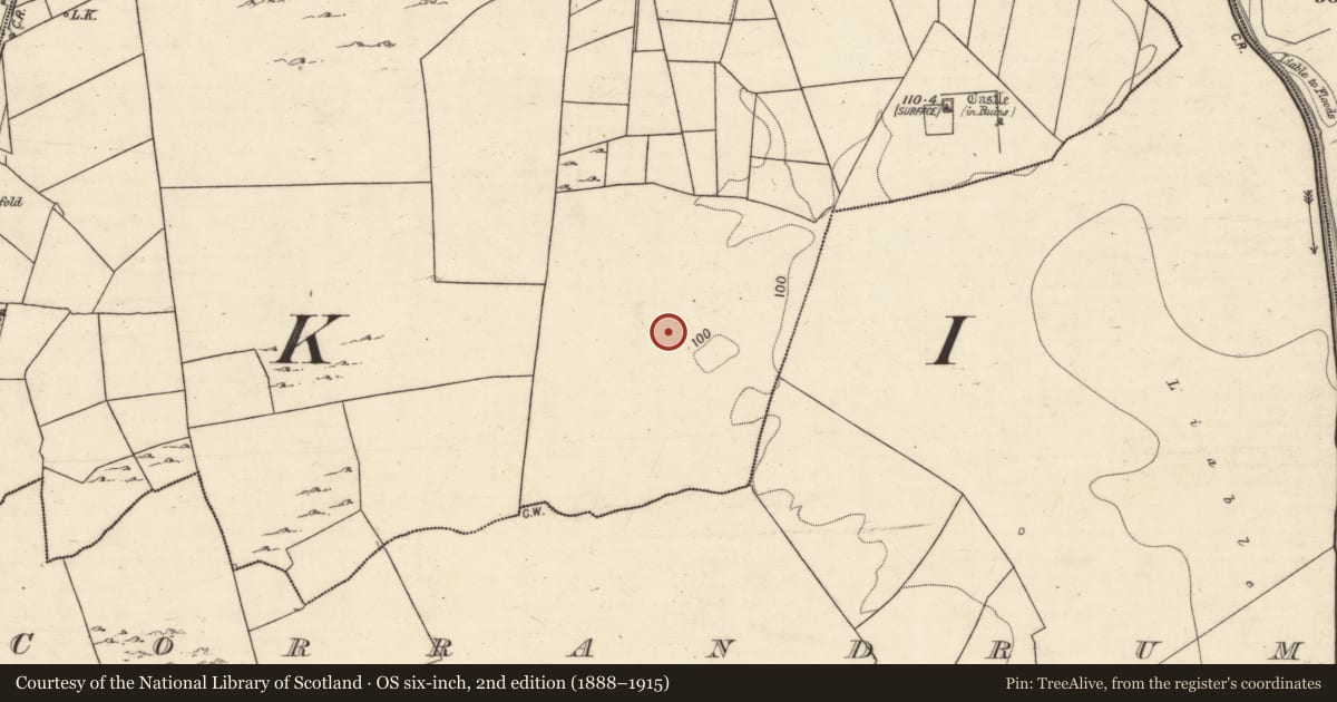 Ordnance Survey six-inch map, 2nd edition (1888–1915) covering the location of Field system, Anbally, County Galway, with a pin at the register's coordinates