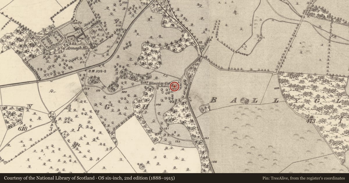 Ordnance Survey six-inch map, 2nd edition (1888–1915) covering the location of Church, Annagh, County Galway, with a pin at the register's coordinates
