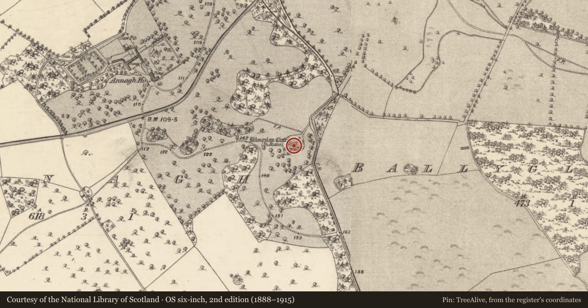 Ordnance Survey six-inch map, 2nd edition (1888–1915) covering the location of Graveyard, Annagh, County Galway, with a pin at the register's coordinates