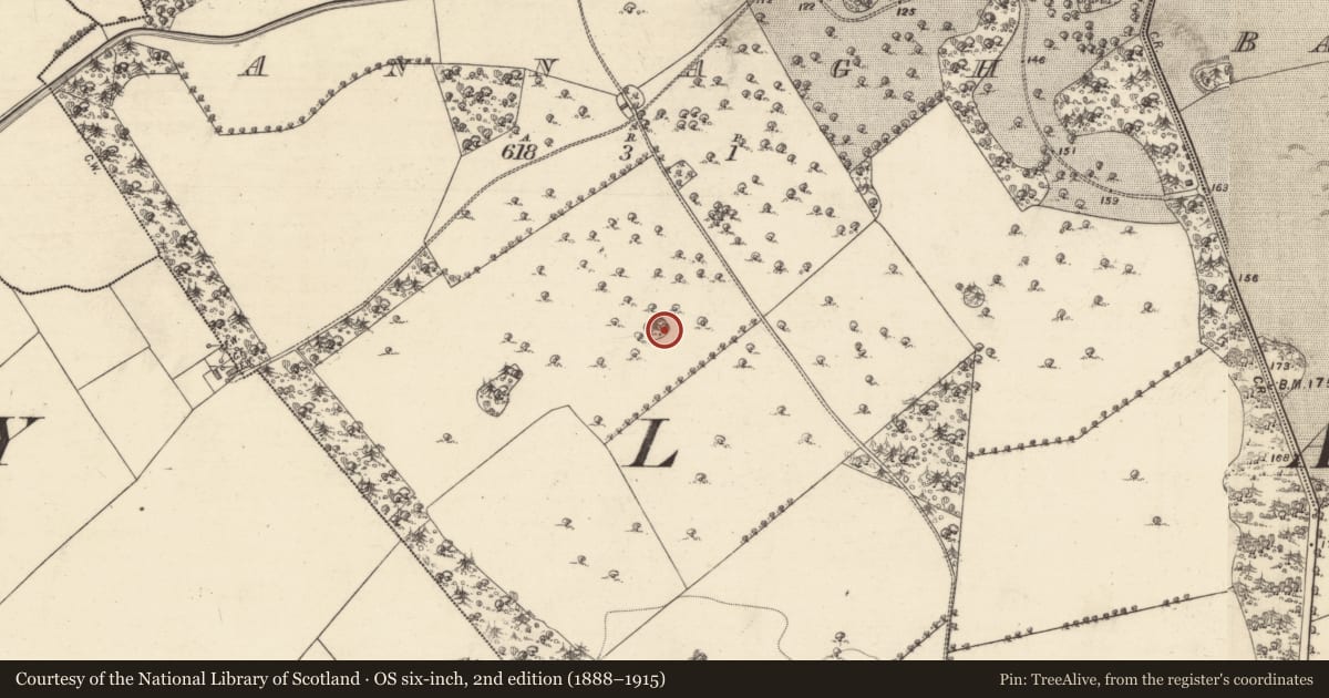 Ordnance Survey six-inch map, 2nd edition (1888–1915) covering the location of Enclosure, Annagh, County Galway, with a pin at the register's coordinates