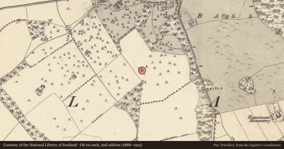 Ordnance Survey six-inch map, 2nd edition (1888–1915) covering the location of Designed landscape - tree-ring, Annagh, County Galway, with a pin at the register's coordinates