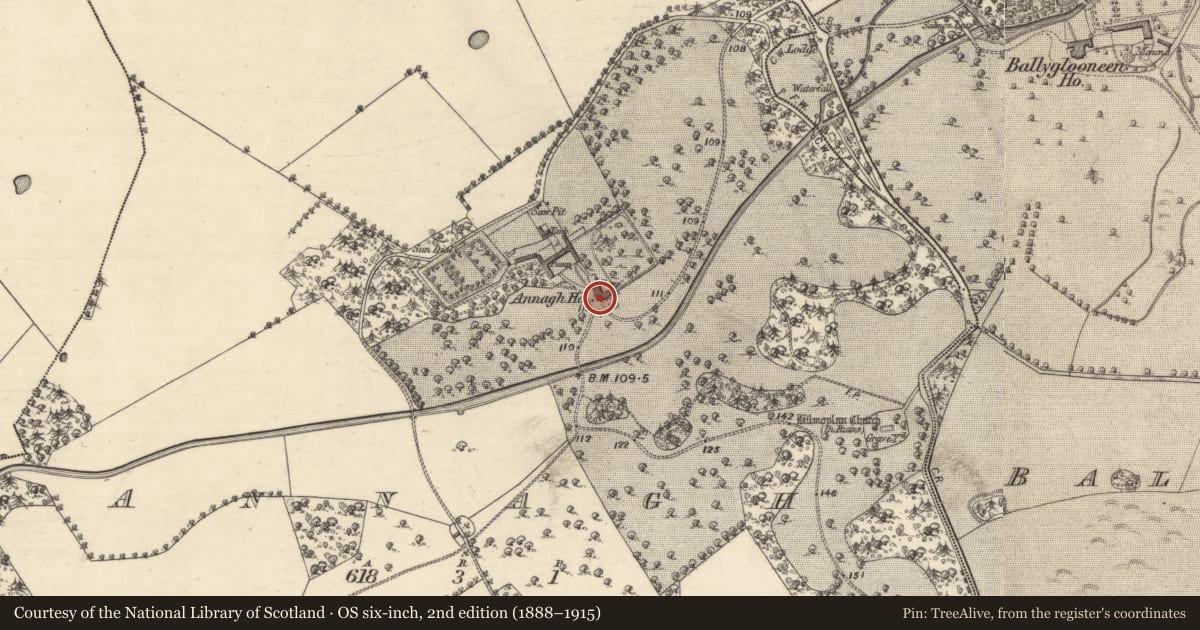 Ordnance Survey six-inch map, 2nd edition (1888–1915) covering the location of Country house, Annagh, County Galway, with a pin at the register's coordinates
