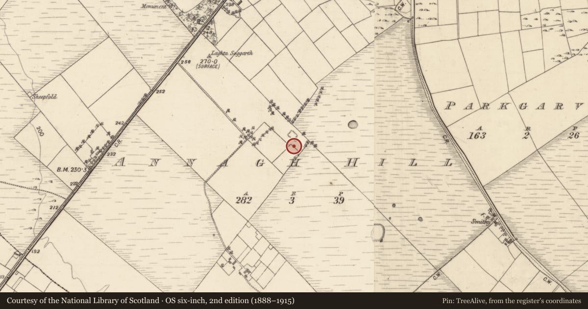 Ordnance Survey six-inch map, 2nd edition (1888–1915) covering the location of Earthwork, Annagh Hill, County Galway, with a pin at the register's coordinates