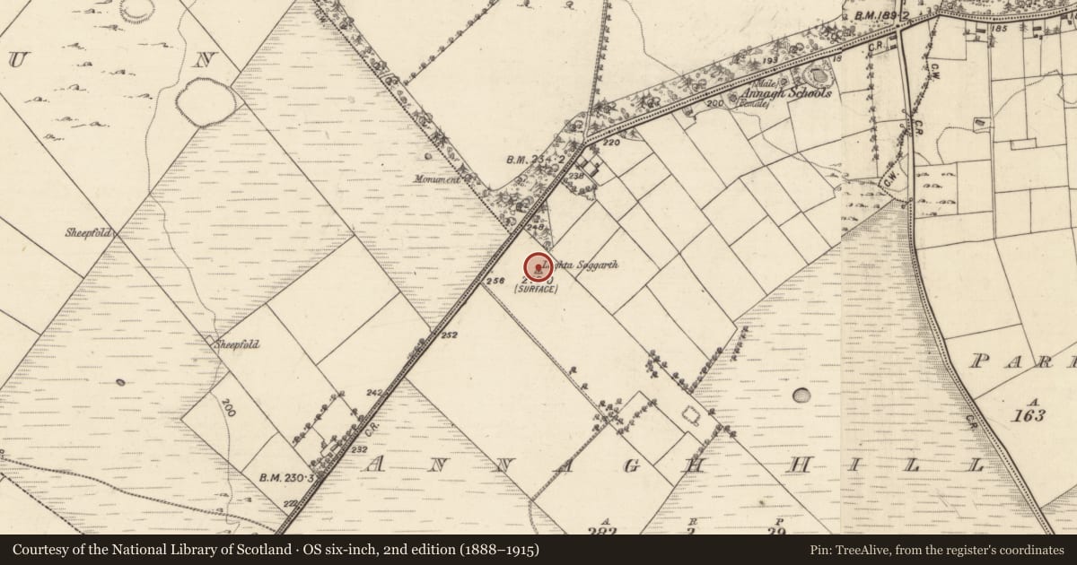 Ordnance Survey six-inch map, 2nd edition (1888–1915) covering the location of Monumental structure, Annagh Hill, County Galway, with a pin at the register's coordinates