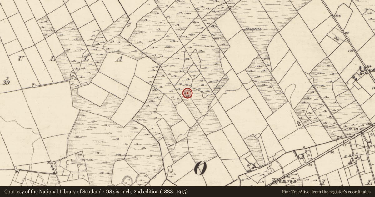 Ordnance Survey six-inch map, 2nd edition (1888–1915) covering the location of Ringfort - cashel, Ardgaineen, County Galway, with a pin at the register's coordinates