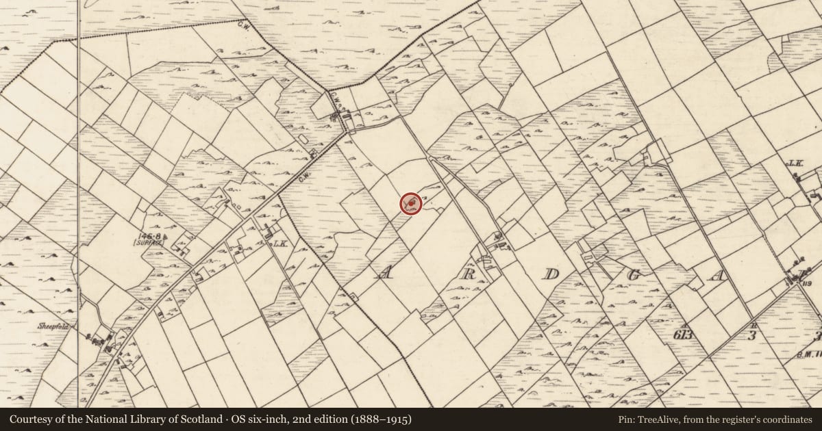 Ordnance Survey six-inch map, 2nd edition (1888–1915) covering the location of Structure, Ardgaineen, County Galway, with a pin at the register's coordinates