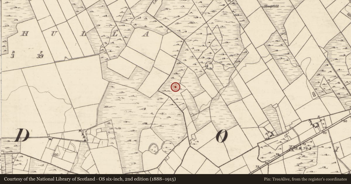 Ordnance Survey six-inch map, 2nd edition (1888–1915) covering the location of House - indeterminate date, Ardgaineen, County Galway, with a pin at the register's coordinates