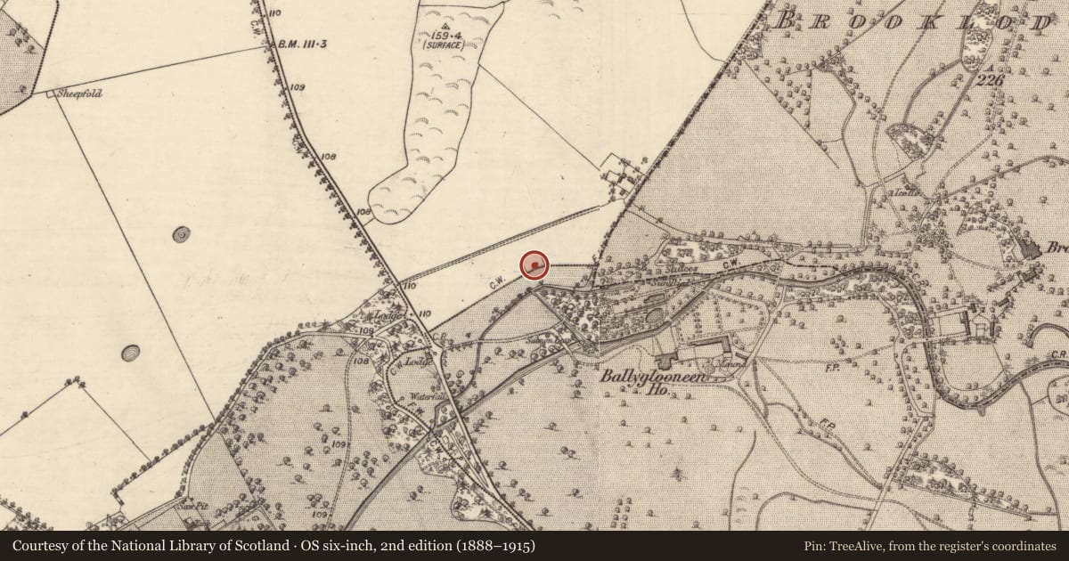 Ordnance Survey six-inch map, 2nd edition (1888–1915) covering the location of Ringfort - unclassified, Ardskea Beg, Ballyglooneen, County Galway, with a pin at the register's coordinates