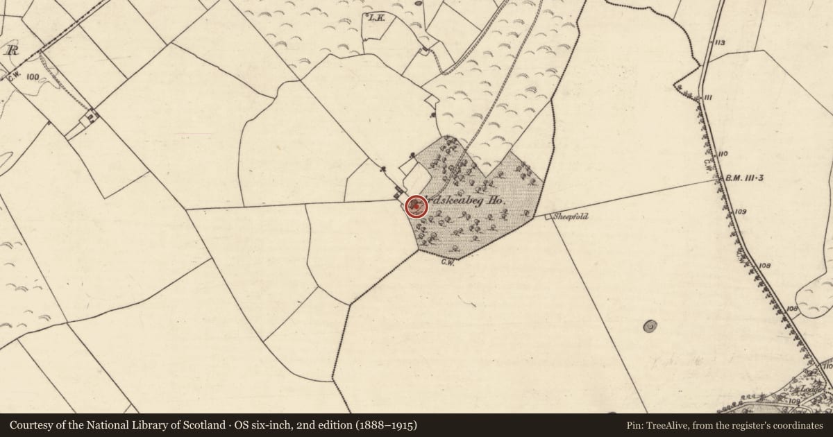 Ordnance Survey six-inch map, 2nd edition (1888–1915) covering the location of Country house, Ardskea Beg, County Galway, with a pin at the register's coordinates