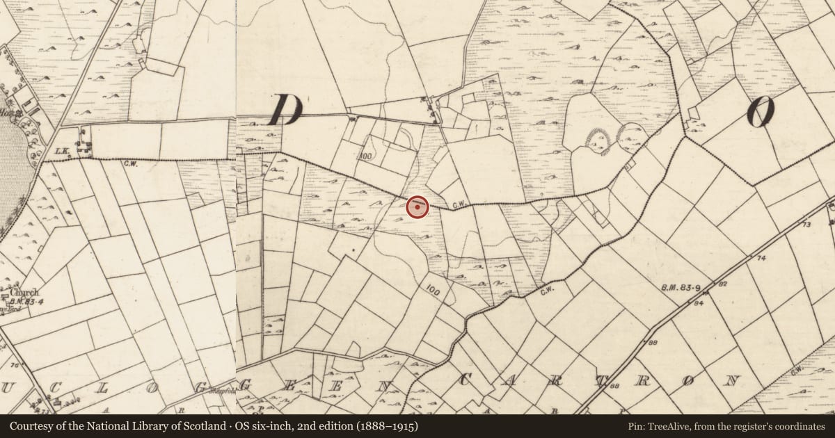 Ordnance Survey six-inch map, 2nd edition (1888–1915) covering the location of Ringfort - cashel, Aucloggeen, Tomnahulla, County Galway, with a pin at the register's coordinates