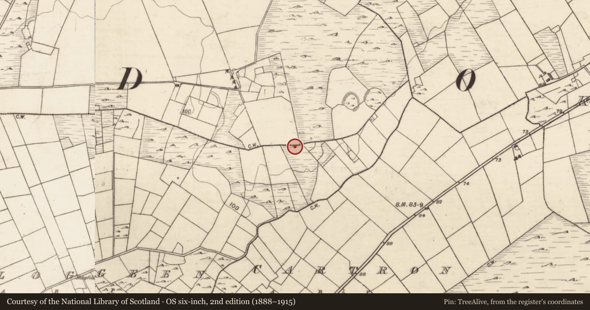 Ordnance Survey six-inch map, 2nd edition (1888–1915) covering the location of Ringfort - unclassified, Aucloggeen, Tomnahulla, County Galway, with a pin at the register's coordinates