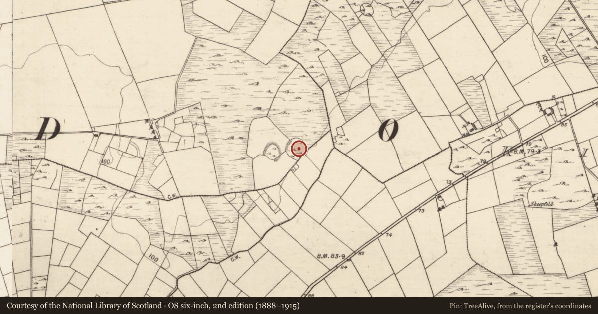 Ordnance Survey six-inch map, 2nd edition (1888–1915) covering the location of Enclosure, Aucloggeen, Tomnahulla, County Galway, with a pin at the register's coordinates