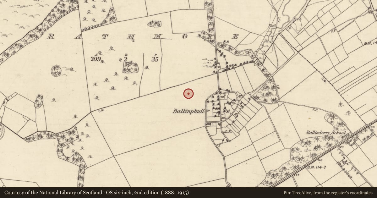 Ordnance Survey six-inch map, 2nd edition (1888–1915) covering the location of Children's burial ground, Ballinphuil, County Galway, with a pin at the register's coordinates
