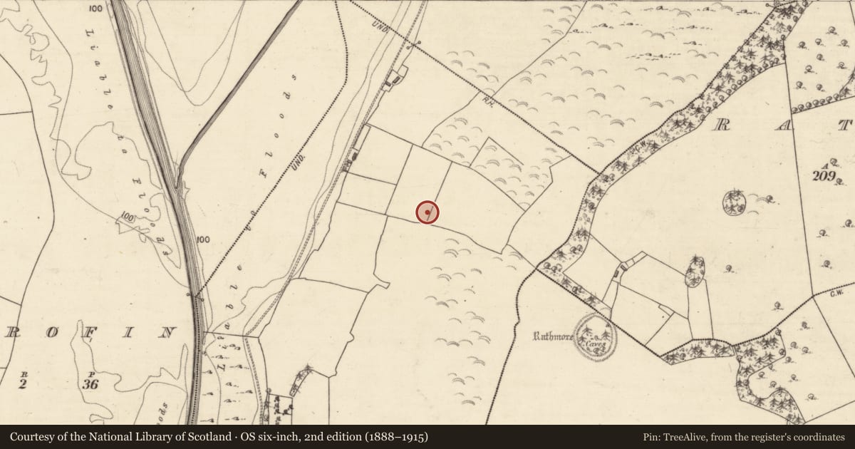 Ordnance Survey six-inch map, 2nd edition (1888–1915) covering the location of Ringfort - unclassified, Ballybanagher, County Galway, with a pin at the register's coordinates