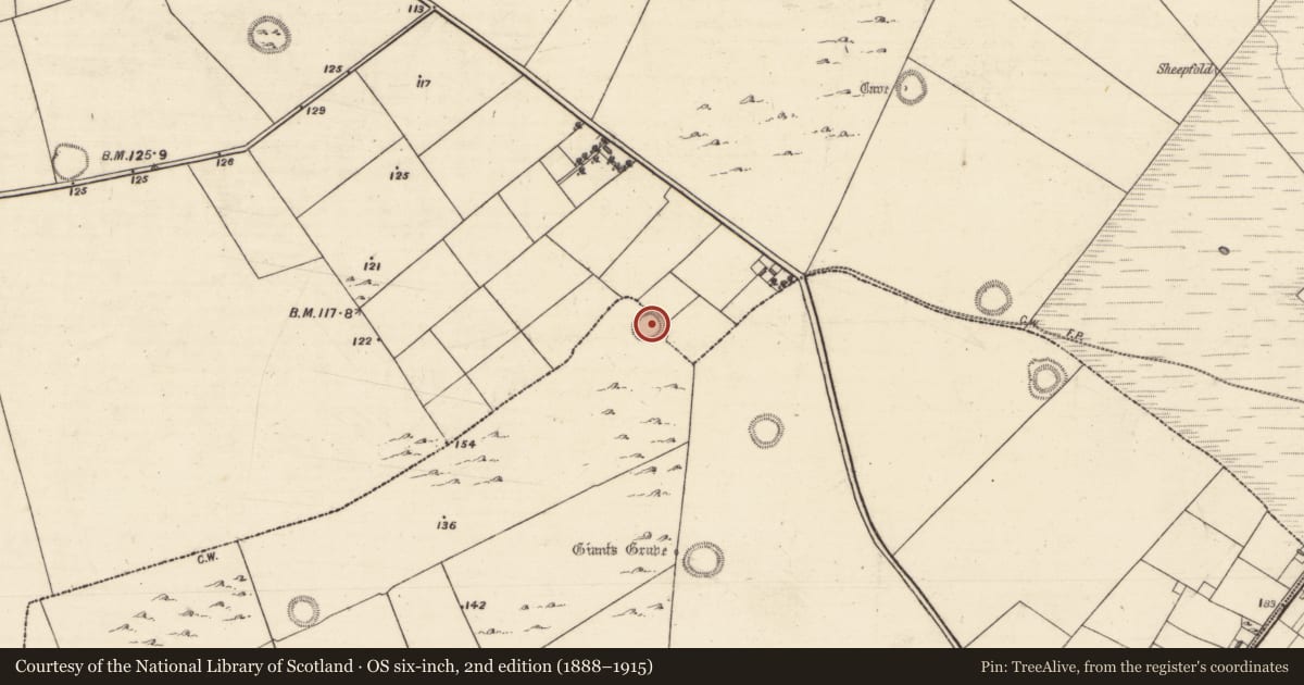 Ordnance Survey six-inch map, 2nd edition (1888–1915) covering the location of Ringfort - unclassified, Ballybrone, County Galway, with a pin at the register's coordinates