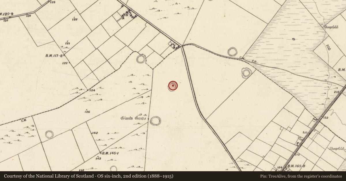 Ordnance Survey six-inch map, 2nd edition (1888–1915) covering the location of Enclosure, Ballybrone, County Galway, with a pin at the register's coordinates