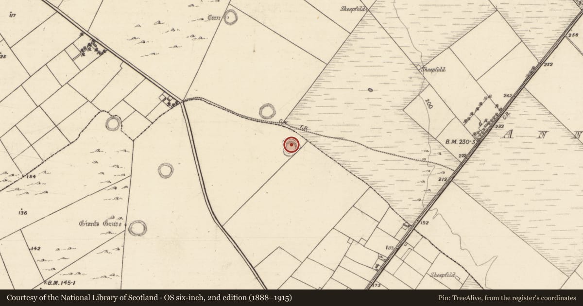Ordnance Survey six-inch map, 2nd edition (1888–1915) covering the location of Ringfort - unclassified, Ballybrone, County Galway, with a pin at the register's coordinates