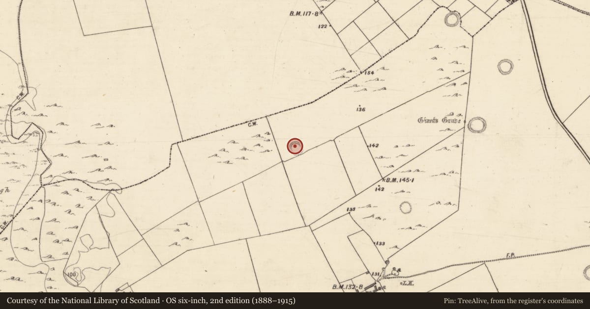 Ordnance Survey six-inch map, 2nd edition (1888–1915) covering the location of Ringfort - unclassified, Ballybrone, County Galway, with a pin at the register's coordinates