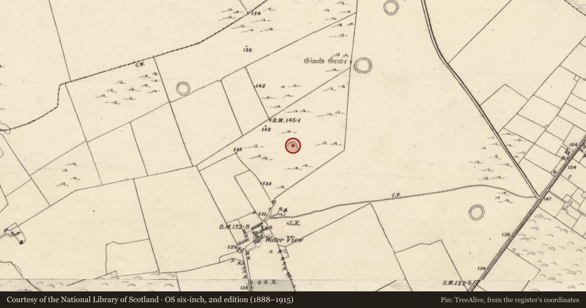 Ordnance Survey six-inch map, 2nd edition (1888–1915) covering the location of Ringfort - unclassified, Ballybrone, County Galway, with a pin at the register's coordinates