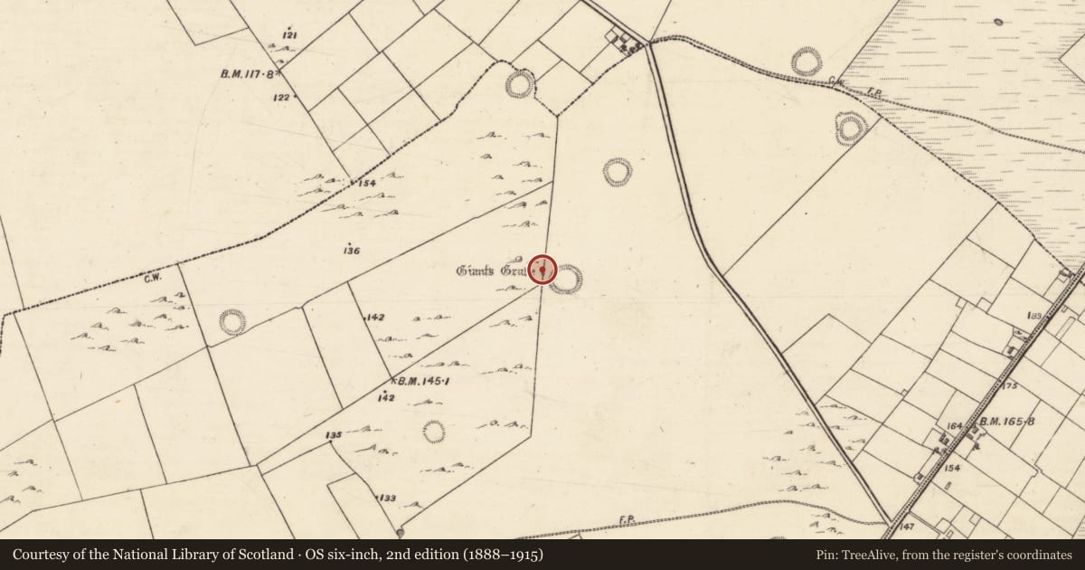 Ordnance Survey six-inch map, 2nd edition (1888–1915) covering the location of Anomalous stone group, Ballybrone, County Galway, with a pin at the register's coordinates