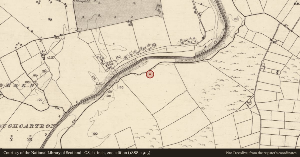 Ordnance Survey six-inch map, 2nd edition (1888–1915) covering the location of Cairn - unclassified, Ballynacreg South, County Galway, with a pin at the register's coordinates