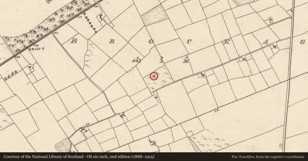 Ordnance Survey six-inch map, 2nd edition (1888–1915) covering the location of Quarry, Brockagh, County Galway, with a pin at the register's coordinates