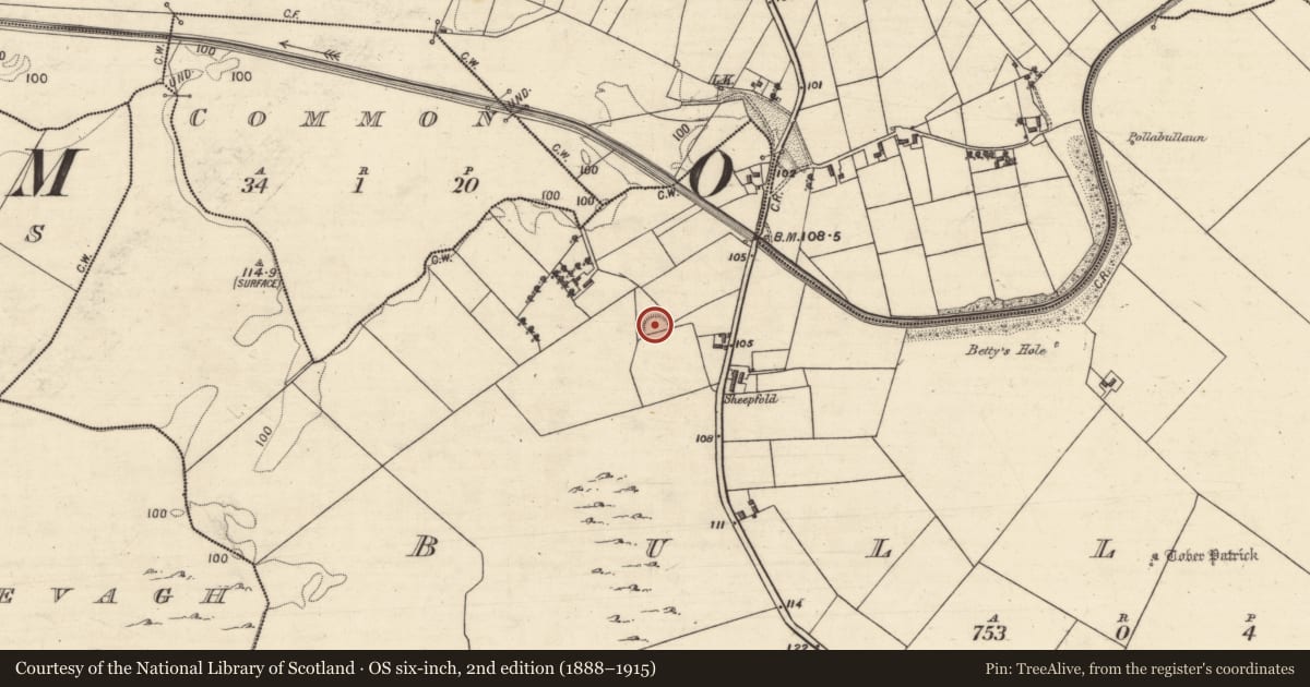 Ordnance Survey six-inch map, 2nd edition (1888–1915) covering the location of Ringfort - unclassified, Bullaun, County Galway, with a pin at the register's coordinates
