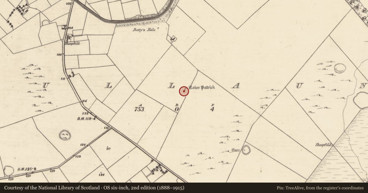 Ordnance Survey six-inch map, 2nd edition (1888–1915) covering the location of Ritual site - holy well, Bullaun, County Galway, with a pin at the register's coordinates