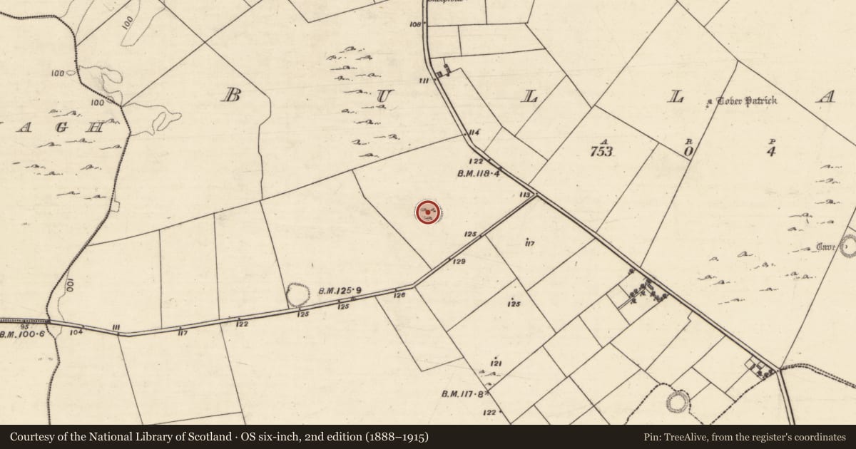 Ordnance Survey six-inch map, 2nd edition (1888–1915) covering the location of Ringfort - unclassified, Bullaun, County Galway, with a pin at the register's coordinates