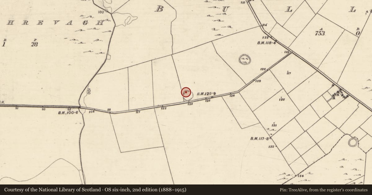 Ordnance Survey six-inch map, 2nd edition (1888–1915) covering the location of Ringfort - unclassified, Bullaun, County Galway, with a pin at the register's coordinates