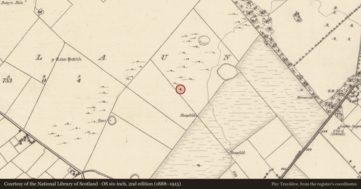 Ordnance Survey six-inch map, 2nd edition (1888–1915) covering the location of Ringfort - unclassified, Bullaun, County Galway, with a pin at the register's coordinates