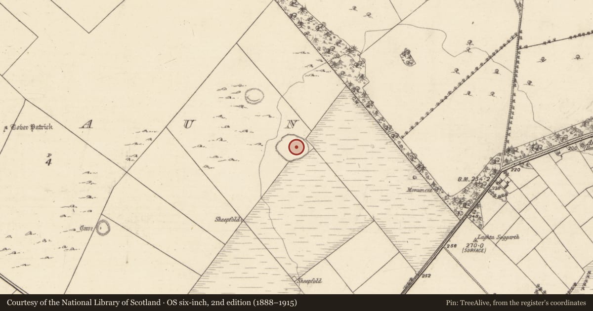 Ordnance Survey six-inch map, 2nd edition (1888–1915) covering the location of Ringfort - cashel, Bullaun, County Galway, with a pin at the register's coordinates