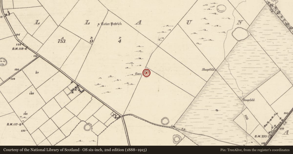 Ordnance Survey six-inch map, 2nd edition (1888–1915) covering the location of Souterrain, Bullaun, County Galway, with a pin at the register's coordinates