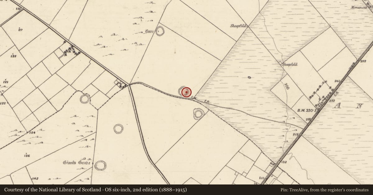 Ordnance Survey six-inch map, 2nd edition (1888–1915) covering the location of Enclosure, Bullaun, County Galway, with a pin at the register's coordinates