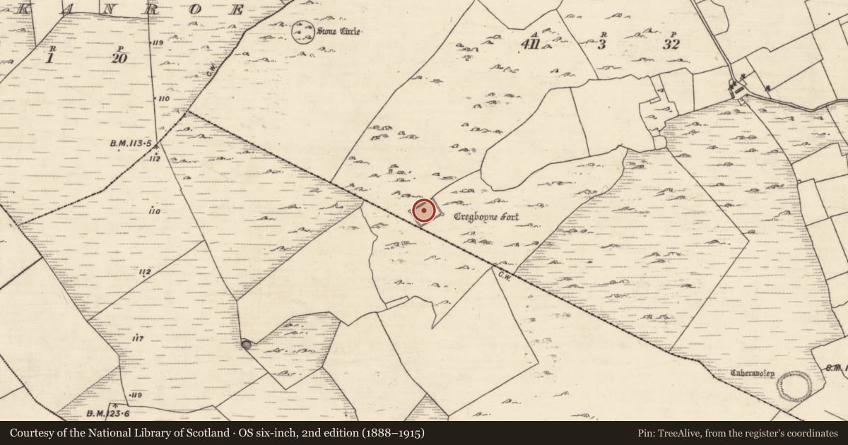 Ordnance Survey six-inch map, 2nd edition (1888–1915) covering the location of Bawn, Caheravoley, County Galway, with a pin at the register's coordinates