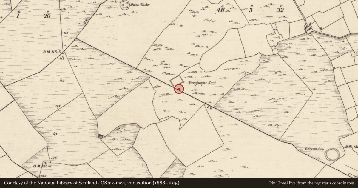 Ordnance Survey six-inch map, 2nd edition (1888–1915) covering the location of Field system, Caheravoley, Kilcahill, County Galway, with a pin at the register's coordinates