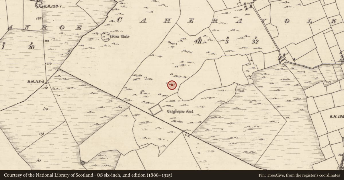 Ordnance Survey six-inch map, 2nd edition (1888–1915) covering the location of House - indeterminate date, Caheravoley, County Galway, with a pin at the register's coordinates