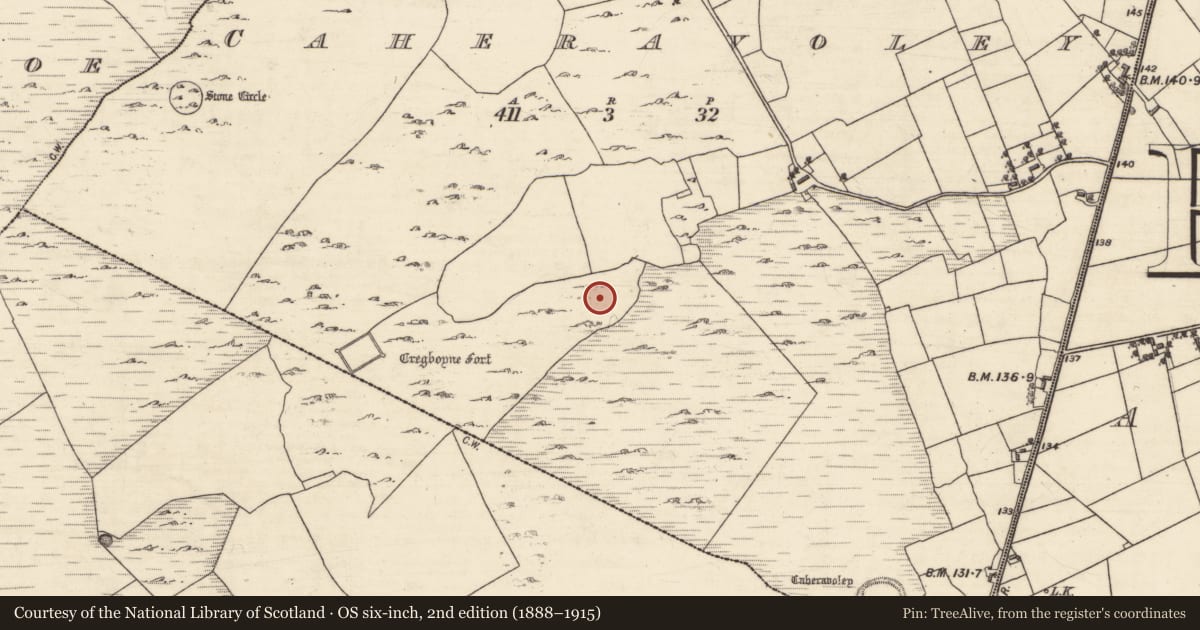 Ordnance Survey six-inch map, 2nd edition (1888–1915) covering the location of Ringfort - cashel, Caheravoley, County Galway, with a pin at the register's coordinates
