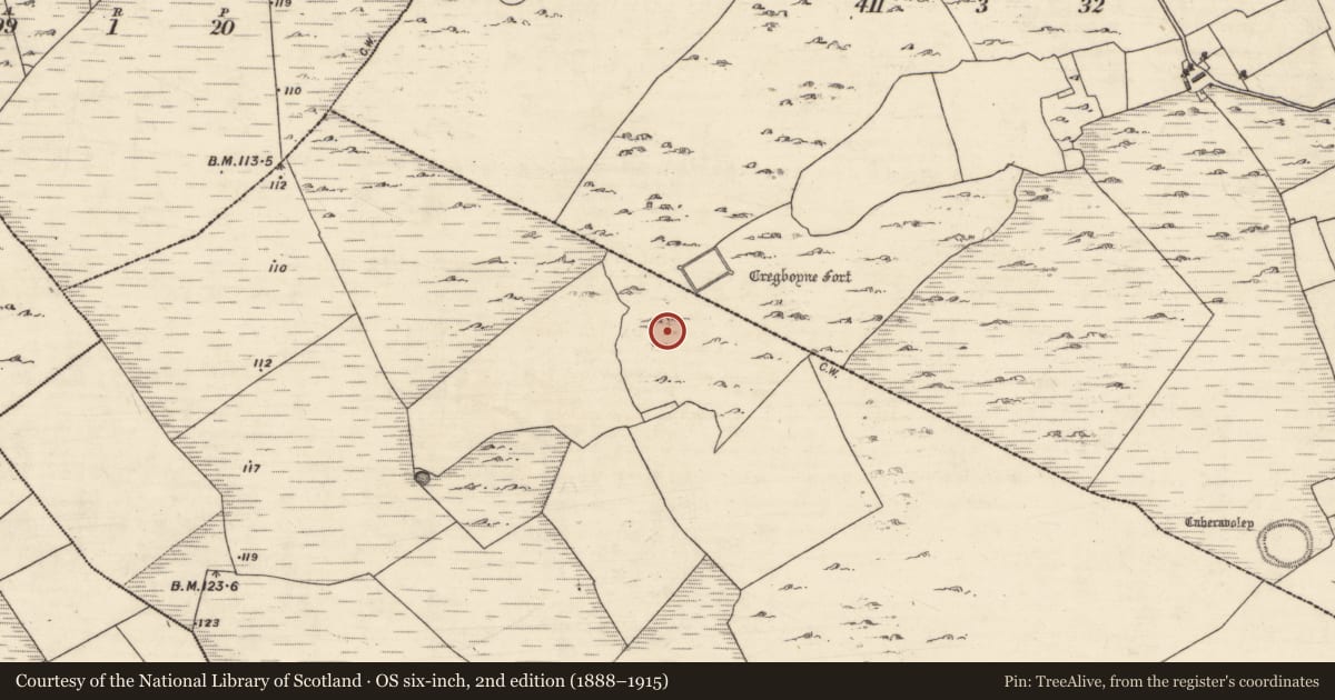 Ordnance Survey six-inch map, 2nd edition (1888–1915) covering the location of Enclosure, Kilcahill, County Galway, with a pin at the register's coordinates