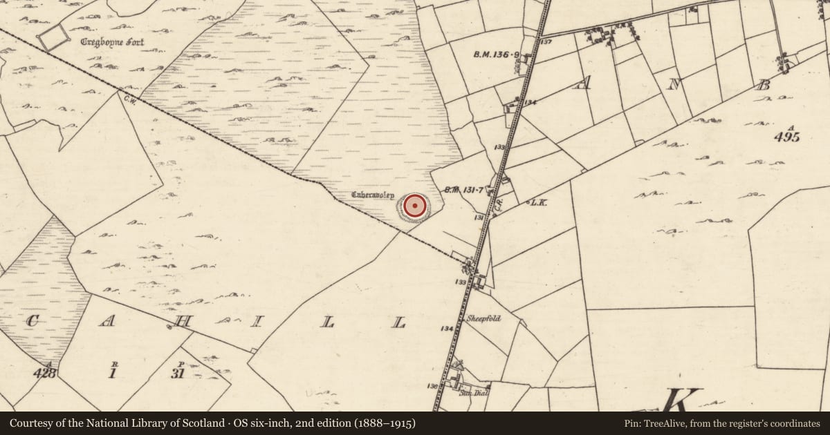 Ordnance Survey six-inch map, 2nd edition (1888–1915) covering the location of Ringfort - unclassified, Caheravoley, County Galway, with a pin at the register's coordinates