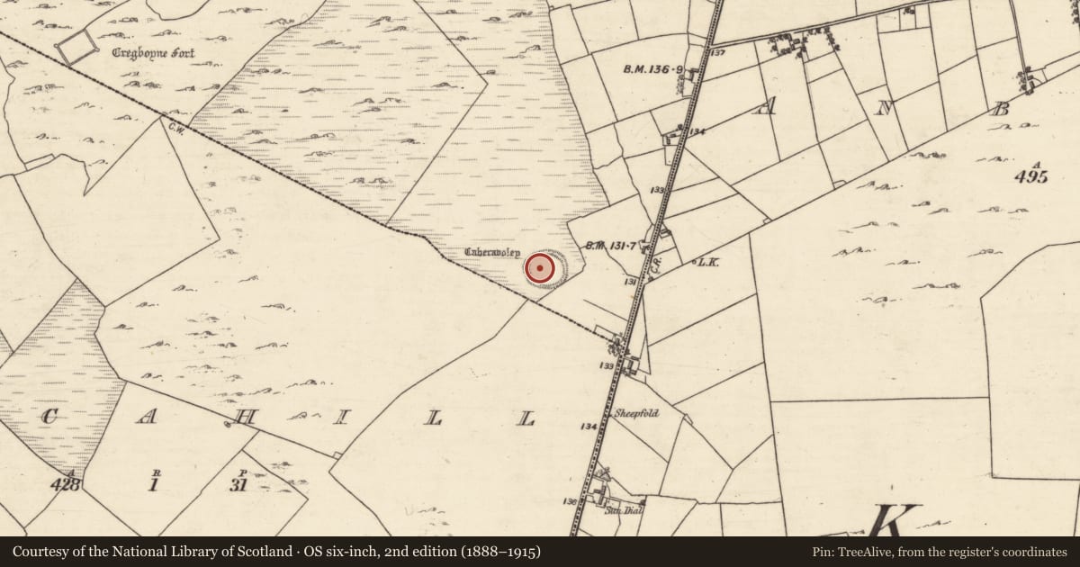 Ordnance Survey six-inch map, 2nd edition (1888–1915) covering the location of Souterrain, Caheravoley, County Galway, with a pin at the register's coordinates