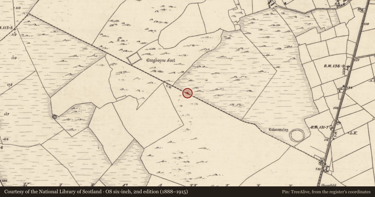 Ordnance Survey six-inch map, 2nd edition (1888–1915) covering the location of Ringfort - unclassified, Caheravoley, Kilcahill, County Galway, with a pin at the register's coordinates