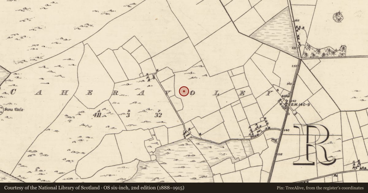 Ordnance Survey six-inch map, 2nd edition (1888–1915) covering the location of Ringfort - cashel, Caheravoley, County Galway, with a pin at the register's coordinates