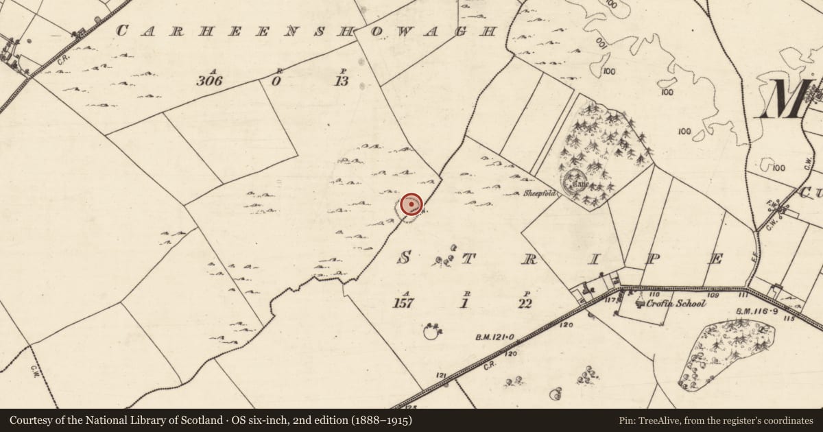 Ordnance Survey six-inch map, 2nd edition (1888–1915) covering the location of Ringfort - unclassified, Carheenshowagh, Stripe, County Galway, with a pin at the register's coordinates