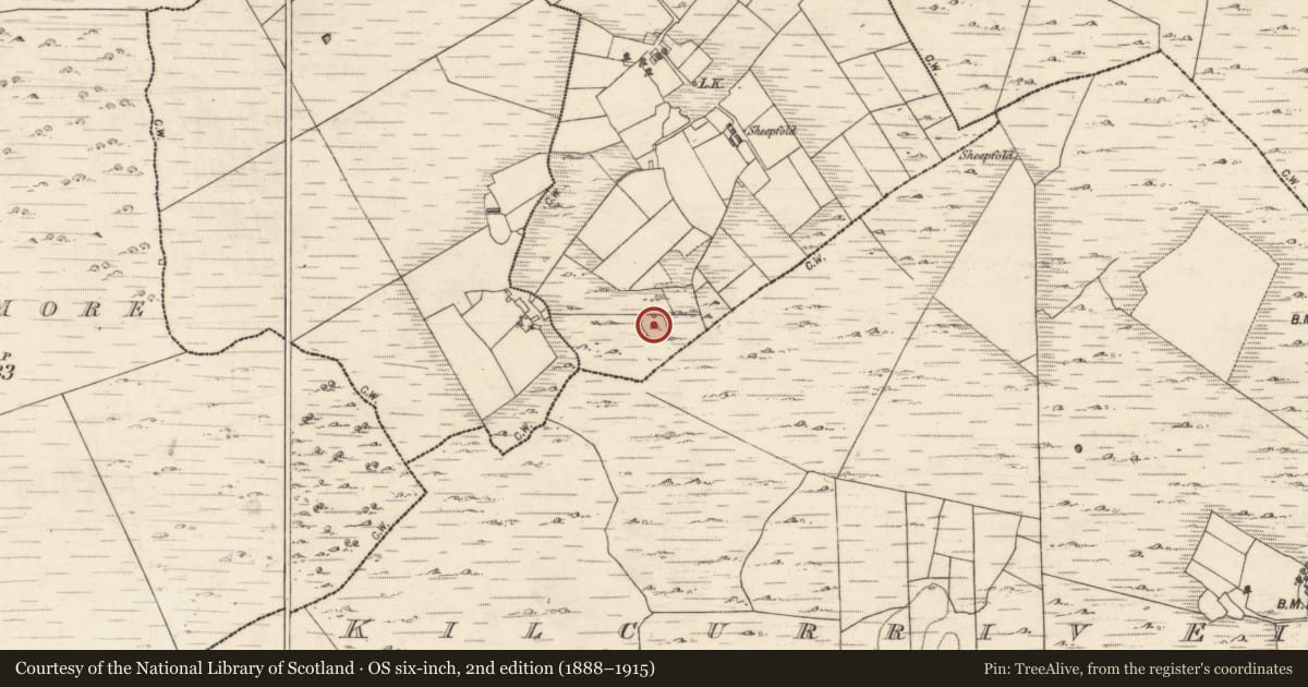 Ordnance Survey six-inch map, 2nd edition (1888–1915) covering the location of House - indeterminate date, Carrownaherick East, County Galway, with a pin at the register's coordinates