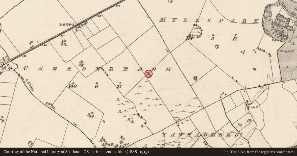 Ordnance Survey six-inch map, 2nd edition (1888–1915) covering the location of Designed landscape feature, Carrowreagh, County Galway, with a pin at the register's coordinates