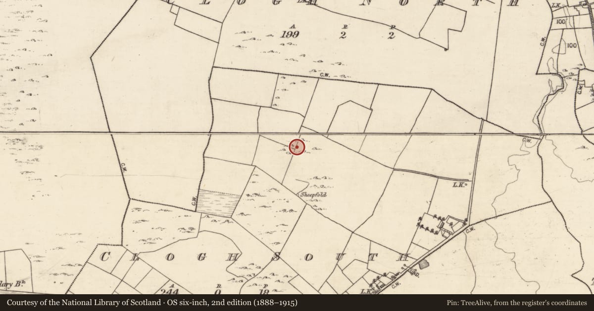 Ordnance Survey six-inch map, 2nd edition (1888–1915) covering the location of Enclosure, Clogh South, County Galway, with a pin at the register's coordinates
